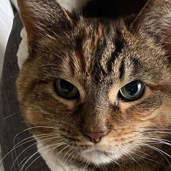 Meet your Posher, Christina - Picture 1 of 1